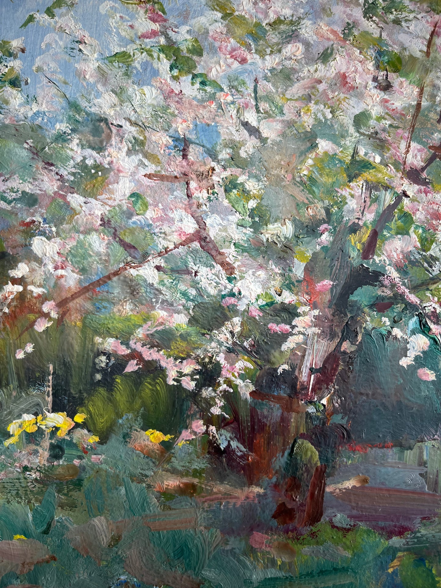 Blossom Tree