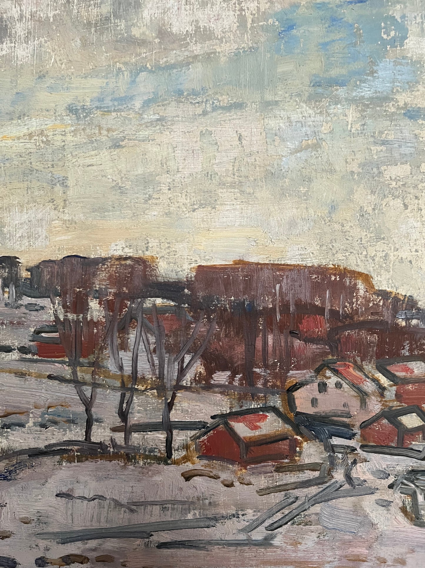 Snow Fields