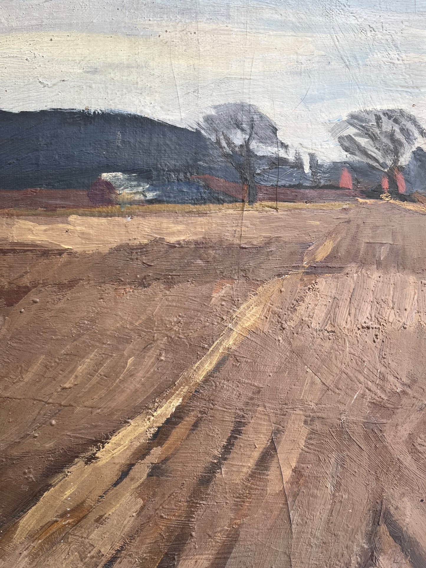 Winter Fields