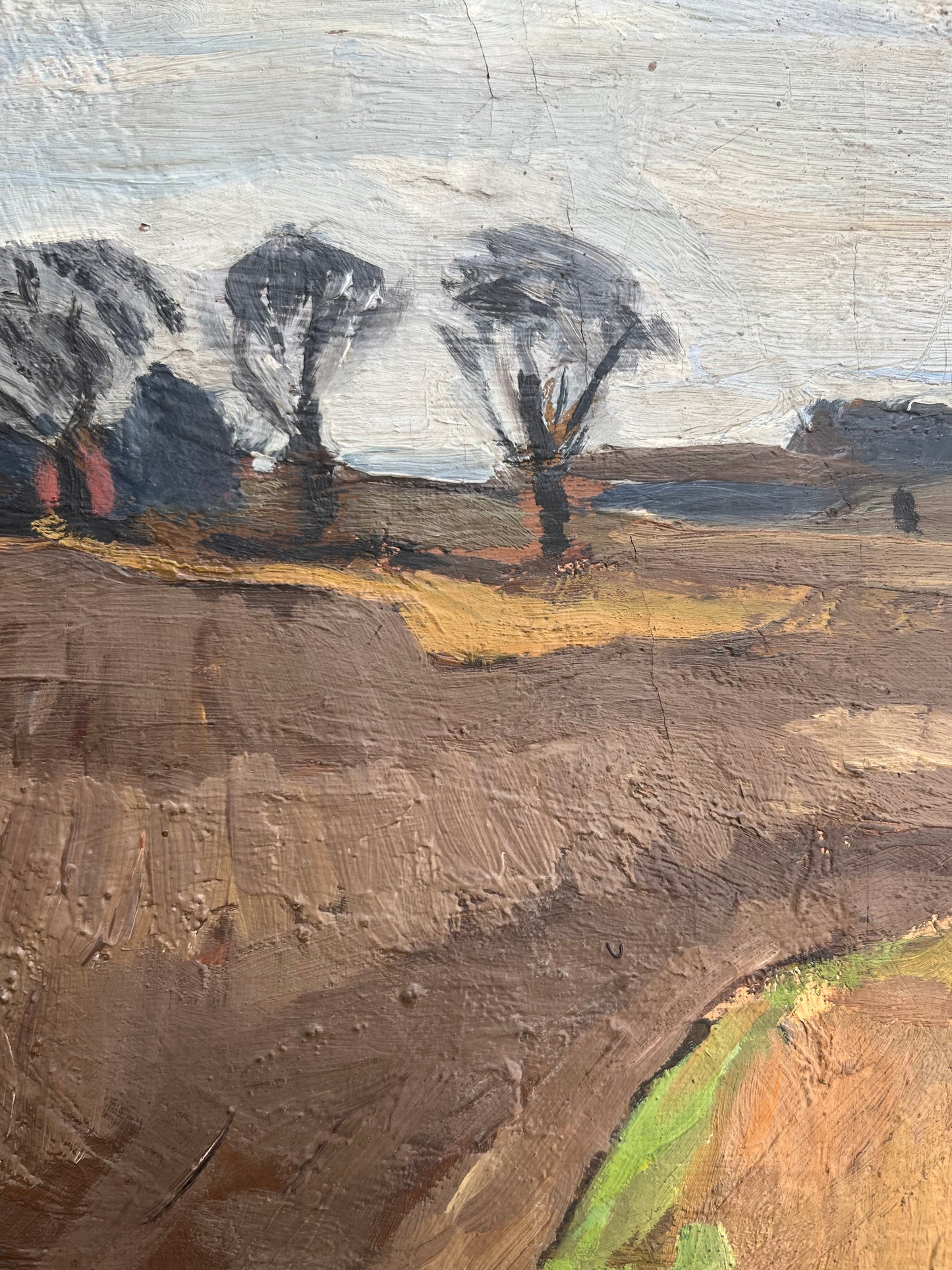 Winter Fields