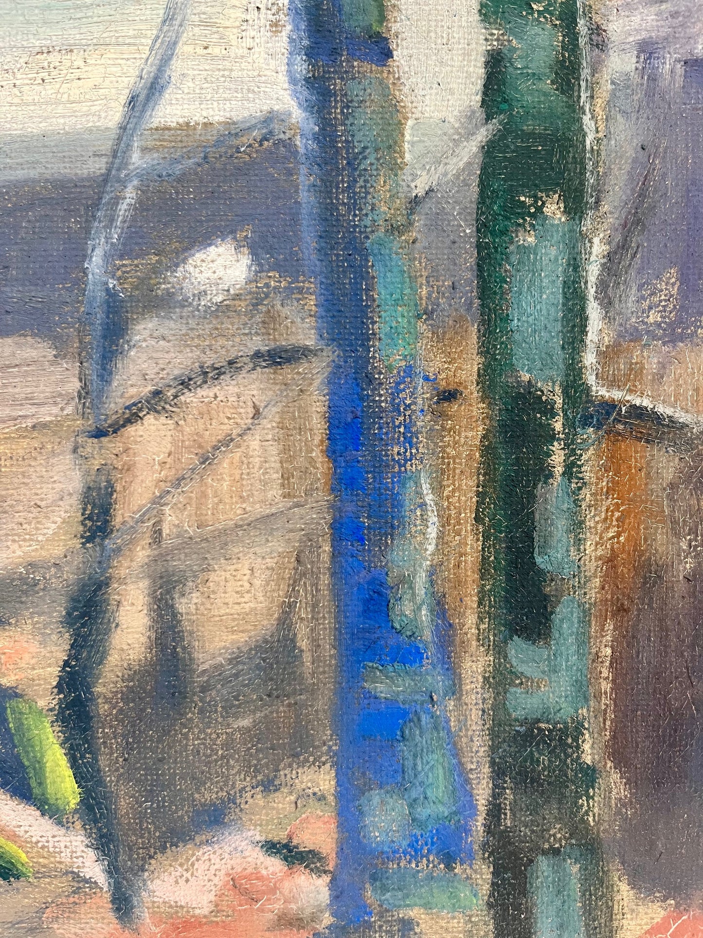 Forest Landscape