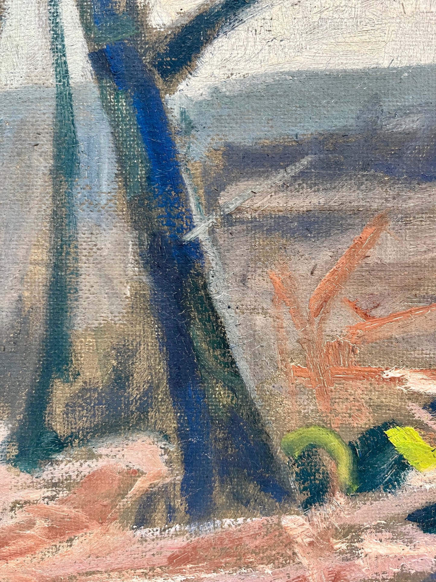 Forest Landscape