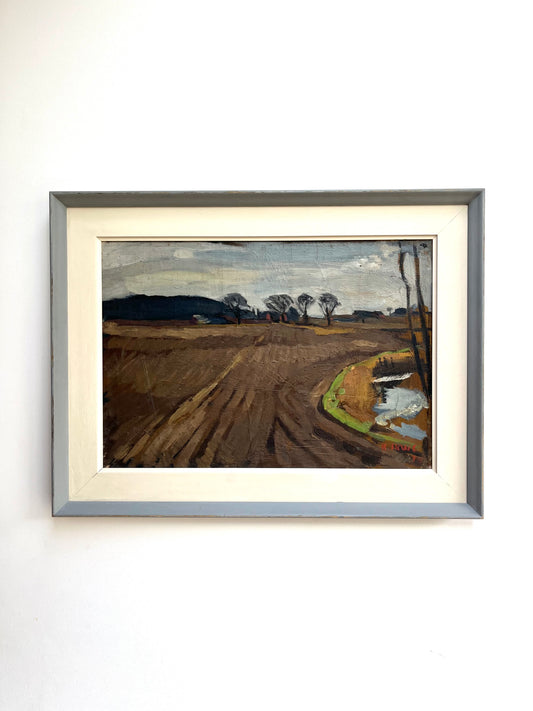 Winter Fields